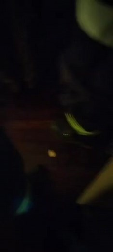 Blessing Shumba Madhombiro (@blessingshumbamad)’s videos with original sound - Blessing Shumba Madhombiro