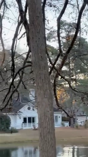 🦅Eagles Can Swim?!🦅 This video is shared by Deb and Craig Loomis of Hilton Head, South Carolina, right out of their backyard! Watch this Bald Eagle go for a large meal that was too heavy to lift and carry away. Of course, the natural reaction when seeing this for the first time is that the eagle needs assistance, but they are very capable and often use this technique to bring larger fish to shore for a very filling meal! It isn't the most graceful (or even planned) activity for an eagle, but s