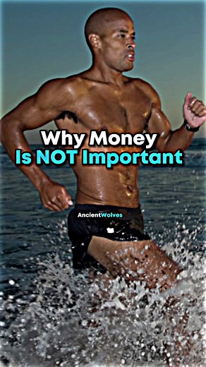 AncientWolves on TikTok