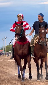 CURIOSO CAMPERO - Stud Los Mellis, Forres. | Fotografía Andrés Cáceres