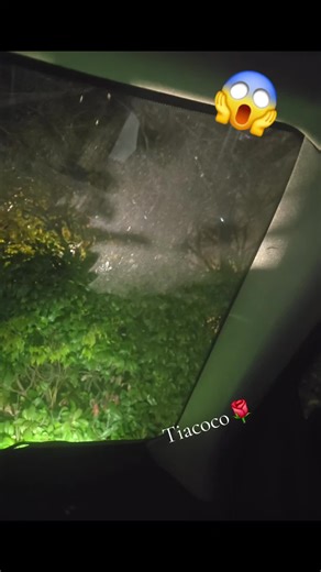 Exploring the Concept of Shadow Figures