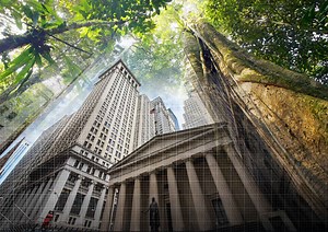 Direct Finance - Coalition for Rainforest Nations