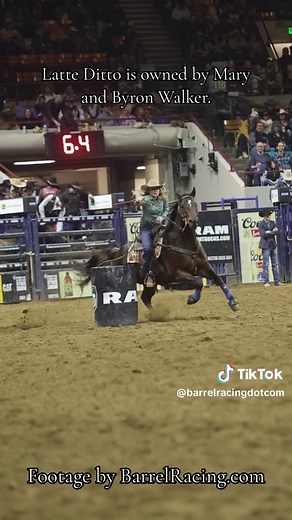 Yeah, you read that right. Remember watching Mary Walker and Perculin, “Latte,” win the 2012 @WPRA barrel racing World Championship? Well…we’ve got news. They cloned Latte and ended up with Latte Ditto…and shes making her MOVE in 2024 with Tessa Arnold. The world watched 4x World Champion, Hailey Kinsel and DM Sissy Hayday break the #NWSSR arena record in 13.63 seconds this week, bur Latte Ditto answered back with an insane 13.50…and there’s one performance remaining at the already historic 2024