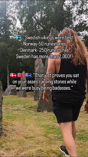 97K views · 10K reactions | Not a good argument......just saying. 藍 Who has some better ones? #norse #vikings #vikinghistory #history #sweden #norway #denmark | Norse Imports | Facebook