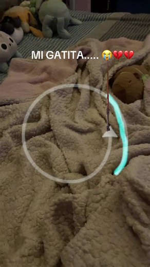 Videos de ꧁✫la shelly mexicana✬꧂ (@java.valenzuela) con “No Surprises - Radiohead”