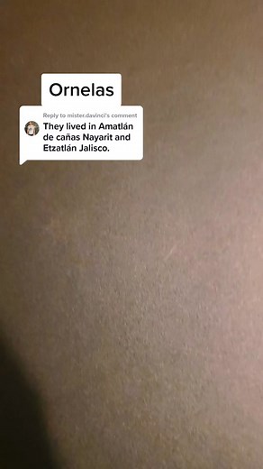 Mexican History: Origen of Surnames Ornelas and Arellano