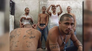 A look inside the world of MS-13