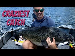 INSANE MURRAY COD - Invited to fish on a strangers boat.