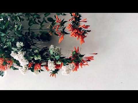 heather - conan gray / slowed down / 1 hour