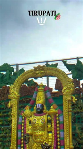 Tirumala | TTD #venkateswaraswamy #alipiristeps #tirupati #balaji