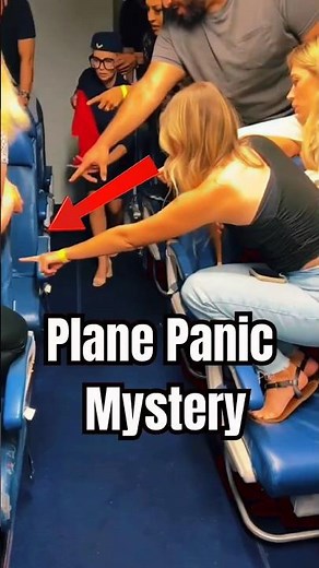 Plane Panic Mystery 😯👉🦔