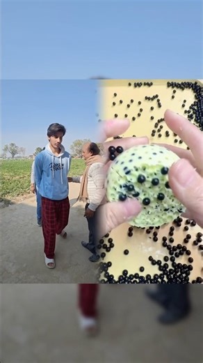 Paper Me Phone Pakad Liya Gaya 💀😱 #shorts #minivlog #ashortaday #vlog #tranding #cats #cat