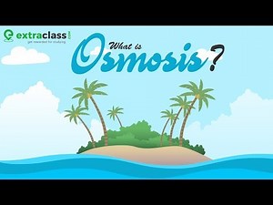 What is Osmosis | Extraclass.com