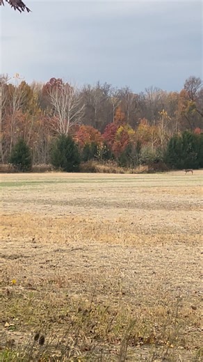 Joe Yoder on Reels | Facebook