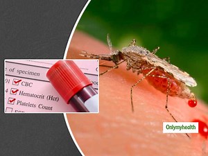 मलेरिया बुखार से लड़ने में मददगार है प्लेटलेट्स, जानें आपके शरीर में कितनी होनी चाहिए इनकी संख्या