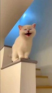 Jump like a frog🥲😵😇🥸🥶