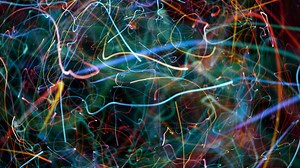 Video Backgrounds #1446 - Animated Backgrounds