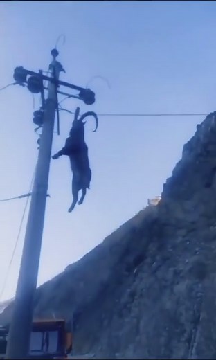 How???? 🤷🏾‍♂️ | RUFF ENDZ