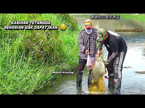 Fishing in a wild river, I caught a carp this big, it was overwhelming.