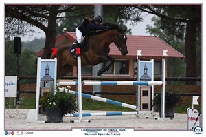 Près de Dieppe, un titre national pour le centre équestre du Cheval Bleu