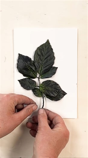 24K views · 391 reactions | The June newlstter is now out and a...