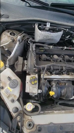 Ford Fusion Engine Knock