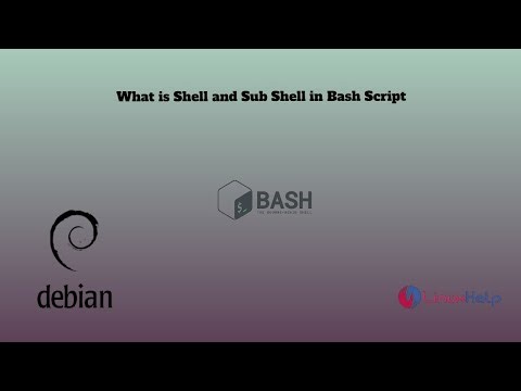 What is Shell and Sub Shell in Bash Script