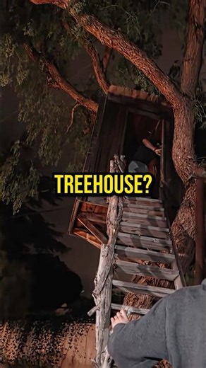 Is That A Tree House #n3on