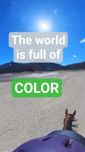 Nature is BEAUTIFUL! #joybomber #joyvlogs