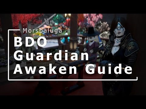 Black Desert Online Guardian Awakening Short Guide, Post PvE Rebalance