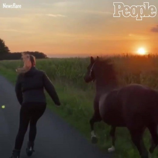 So majestic. 🌅 | People