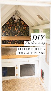 38K views · 2.4K reactions | Here’s your guide to building a litter...