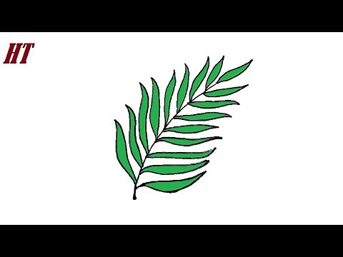 How to draw a fern leaf easy