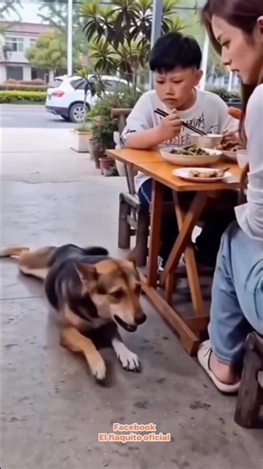 #วิธีการกินอาหารที่ฉลาดของสุนัข How to eat smart dog food