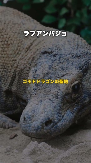 インドネシアの美しい都市10選 #shorts #インドネシア旅行