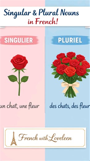 Master Singular & Plural Nouns in French! 🇫🇷 | French with Loveleen