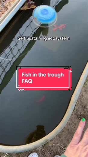 Understanding Fish and Horses in Ecosystem Management