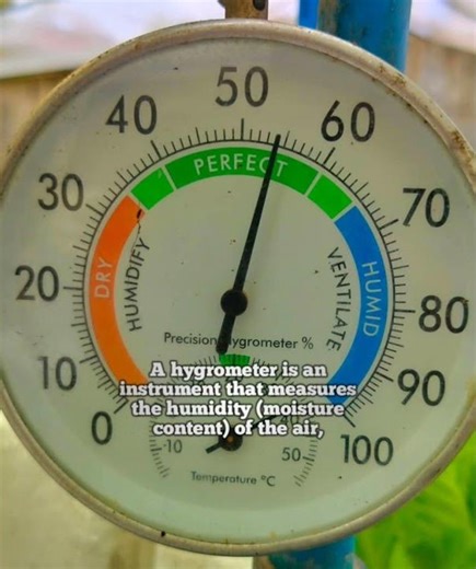 Hygrometer for Greenhouse