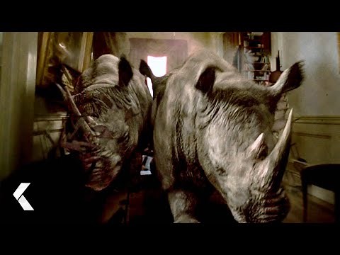 "It's A Stampede!" Scene - Jumanji | Robin Williams