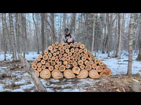 Clearing Raw Land by Hand for Off-Grid Cabin (EP 8)
