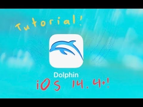 Dolphin Wii Emulator on iOS Tutorial
