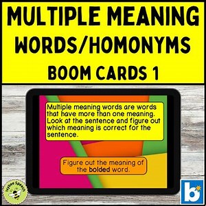 Multiple Meaning Words Homonyms 1 Boom Cards