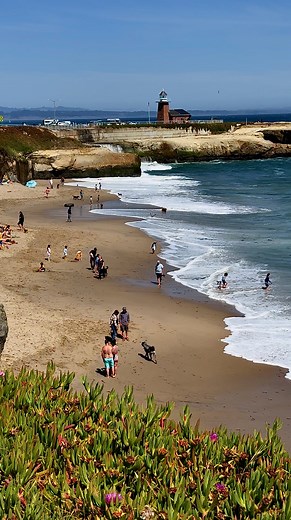 135K views · 3.5K reactions | Lighthouse Field State Beach, aka Its Beach, aka Dog Beach | Native Santa Cruz | Facebook