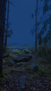 vision | Coldvisions