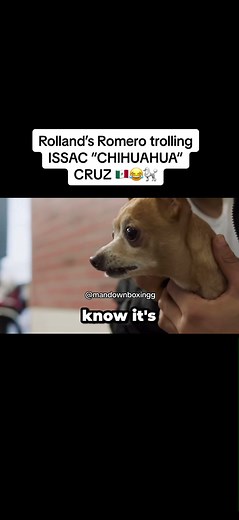 Rolland’s Romero trolling ISSAC “CHIHUAHUA” CRUZ 🇲🇽😂🐩