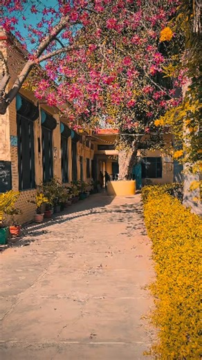 DAV College Students on Instagram: "Thanks @official_jassxjeet07"