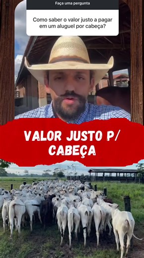 Valor Justo por Cabeça de Boi na Pecuária Brasileira
