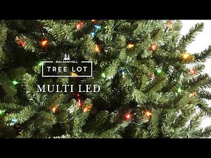 Multi LED | Balsam Hill® Tree Lot
