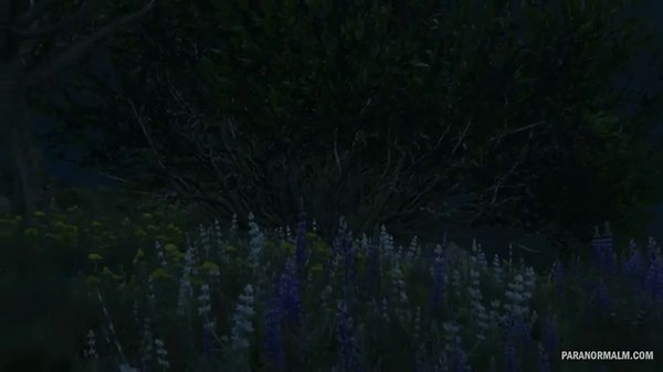 52 True Paranormal Stories | Phantom Infestation And Mor