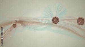 Flow patterns and spheres interacting in a fluid environment